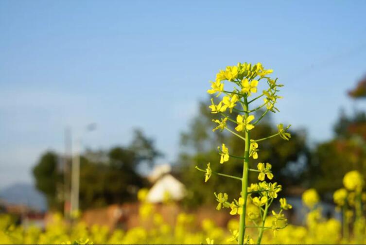 春季該如何預(yù)防控制高血壓？