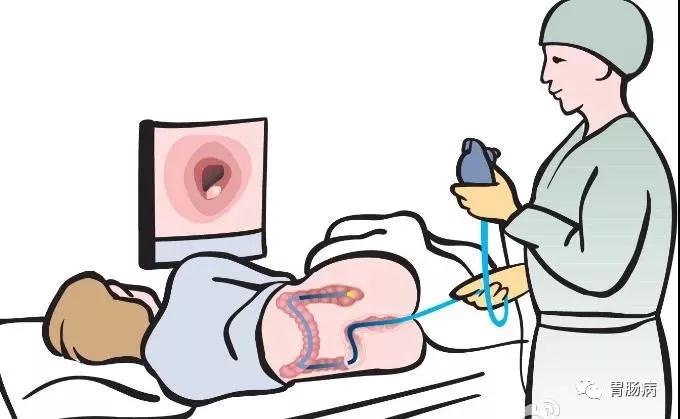 “胃”你好嗎？“腸”來看看！