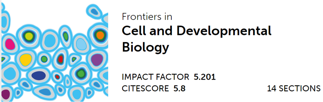 心臟病醫(yī)院王海昌院長(zhǎng)科研團(tuán)隊(duì)在心肌病研究領(lǐng)域有新突破！