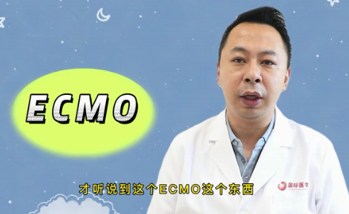 什么是ECMO？