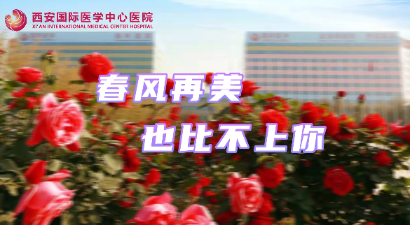 春風(fēng)再美，也比不上你……