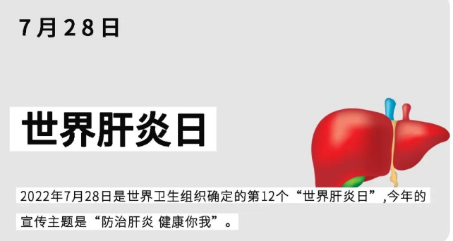 世界肝炎日｜關(guān)于乙肝，你應(yīng)該知道這些