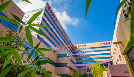 國醫(yī)四味：竹林、紫杉、桂花、銀杏，還有那……