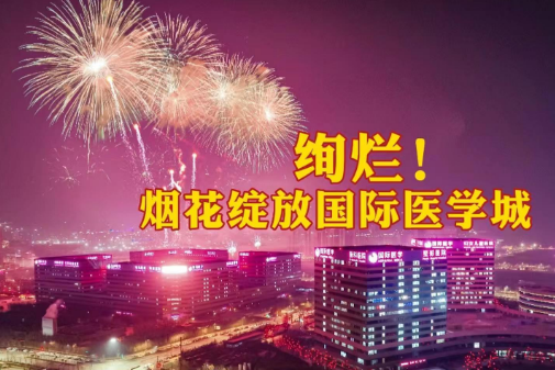 絢爛！煙花綻放國際醫(yī)學(xué)城
