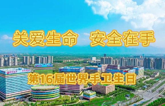 關愛生命安全在手——第16屆世界手衛(wèi)生日